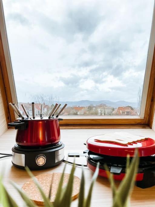 Lumineux Avec Vue Sur Les Vosges Apartman Colmar Kültér fotó
